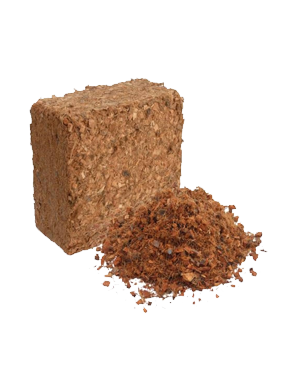 Coco Chips Supplier