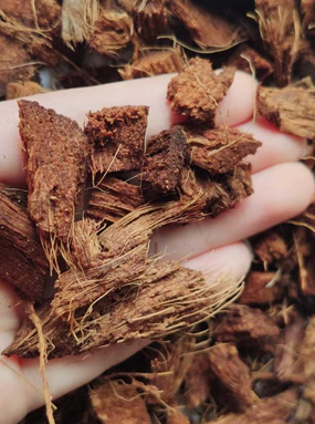 Coco Chips Supplier