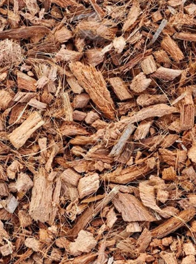 Coco Chips Supplier