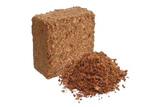 Coco Chips Supplier