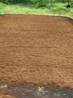 Cocopeat High EC