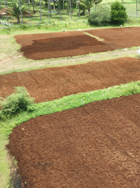 Cocopeat Low EC
